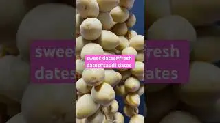 #sweet dates#fresh dates#crunchy dates#saudi dates