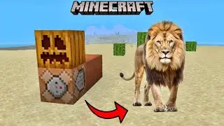How to Spawn Lion in Minecraft