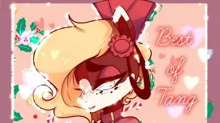 Best of Tang (Diives)