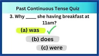 Past continuous tense - Grammar Quiz in English