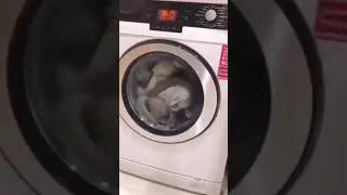 Показалось