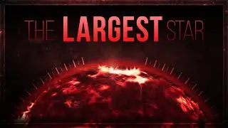 The Largest Star (Stephenson 2-18)