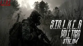STREAM ПРОХОЖДЕНИЕ S.T.A.L.K.E.R.!Opasnyj Virus| S.T.A.L.K.E.R!
