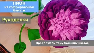 Большой пион из гофрированной бумаги