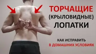 Лопатки торчат по ЭТОЙ причине! ЕДИНСТВЕННОЕ упражнение, чтобы убрать крыловидные лопатки