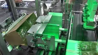 75088 BluePrint Automation (BPA) Case Packer Gantry 300 Swing