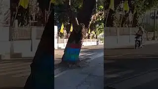 AWESOME VIDEO TEST
