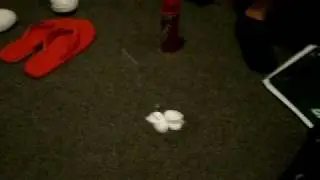Imaginary Cat
