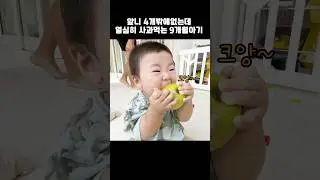 사과를 처음 먹어보는 9개월 아기랑이