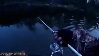 Сахалин. Сима. Вишневый лосось 4