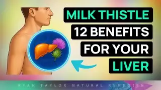 12 Benefits of MILK THISTLE (For Your Liver)
