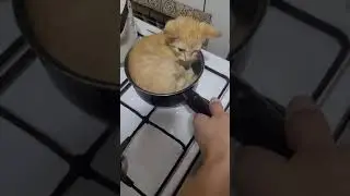 Кто знает что за суп такой?😱