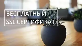 Бесплатный SSL сертификат Letsencrypt на хостинге webhost1.ru