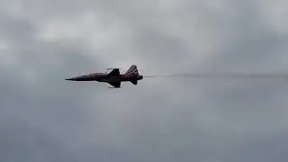 Suisse Swiss Air Force Bomber Jets Northrop F-5e Tiger II