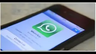 How To Turn Off WhatsApp Notifications in Android