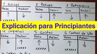 Basic Accounting Management