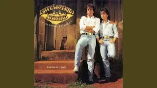 Cowboy Do Asfalto