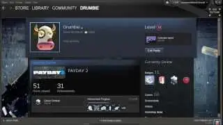 Steam Leveling guide