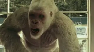 How the gorilla  escape  from  the prison | Rampage 2018 | English  HD | Movie  shots  # 3 |