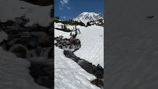 Mount Rainier and Myrtle Falls