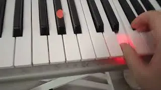 1 июля 2024 г.