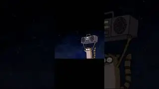 Енот Ригби с магнитофоном на машине