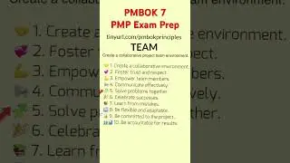 PMBOK Guide Seventh Edition Principle 2: TEAM