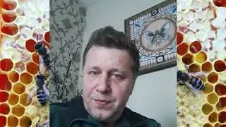 Селекция пчел. пчелиная полиция.