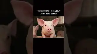 Семья Это Главное  ДОМИНИК ТОРЕТТО