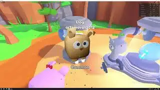играю в симулятор качка!!!