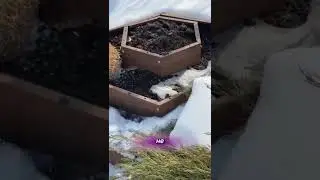 Клумбы для вашего сада и огорода  