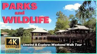 UNWIND & EXPLORE: Weekend Walking Tour at Ninoy Aquino Parks & Wildlife | Quezon City Philippines 4K