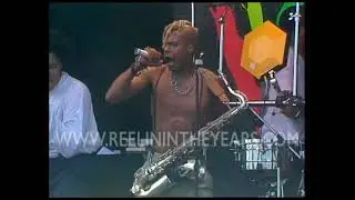 Fishbone • 
