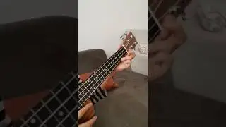 Ceviz Adam ukulele ile