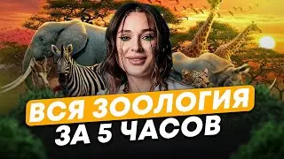 Это ТОЧНО СПРОСЯТ на ЕГЭ! / Повторяем ВСЮ ЗООЛОГИЮ перед ЕГЭ по биологии 2025!