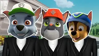 PAW Patrol - Coffin Dance Megaremix (COVER)