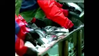 Илья Шестаков в программе «Актуально»  АГРО ТВ