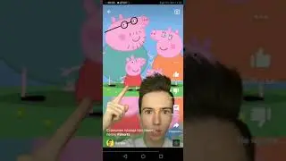 тайна свинки пеппы
