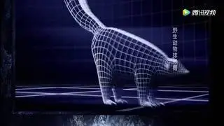 Skunk spray animation
