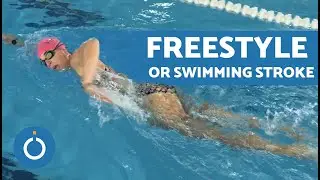 How to FRONT CRAWL Properly 🌊 Learn How to Swim Fast