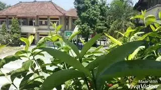 Viva Video - Editor Pemula Bali