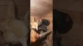 КАК МЫ НОЧУЕМ 😊