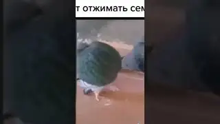 #rek
