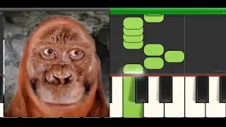 8 iq