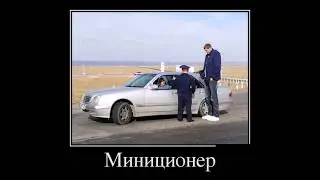 Лучшие приколы,Приколы с животными.Новые приколы.№20