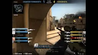 Go major