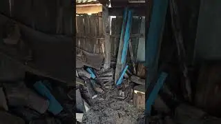 Что хранится в деревенском сарае? Запас дров, досок, жердей, столбов...