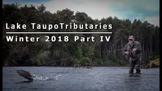 Wild Trout of the Taupo Tributaries - Winter 2018 - Part IV