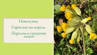 Новолуние. Гороскоп на апрель. Перелом в сознании людей