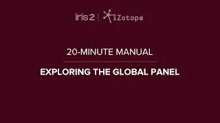 iZotope Iris 2: Global Controls | 20-Minute Manual Video #4